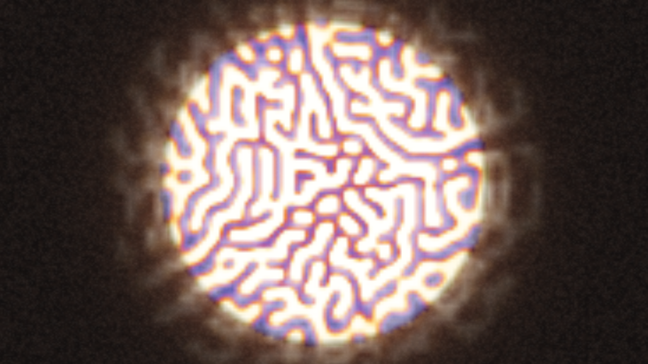 Cold Short by Morning interactive simulation preview
